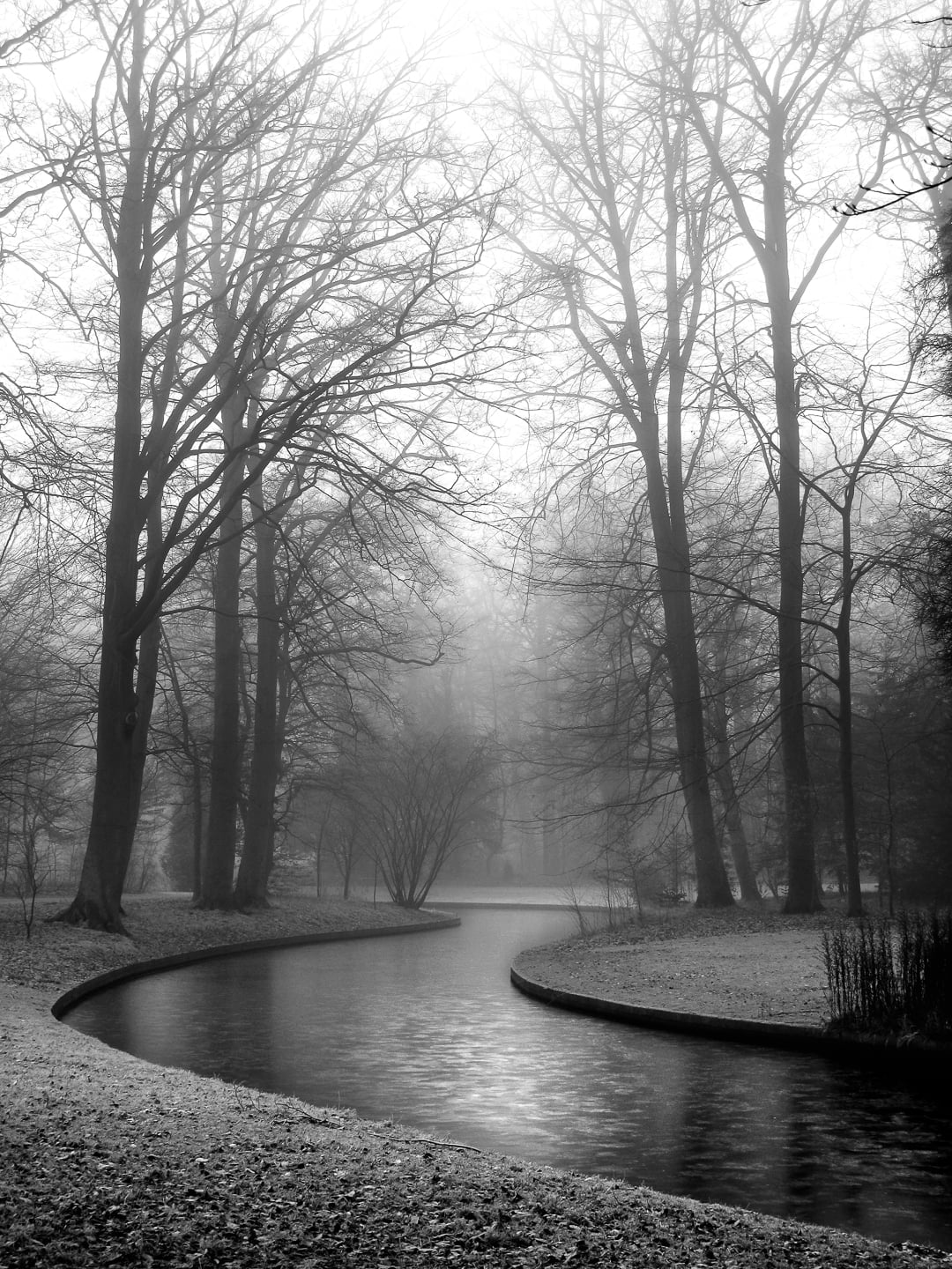 A gloomy day in Frederiksberg Have.